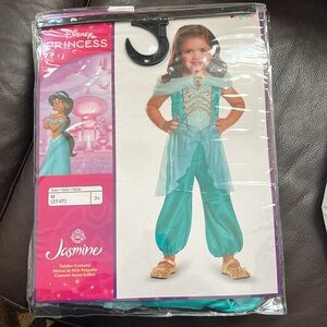 Disney Jasmine Princess Costume
